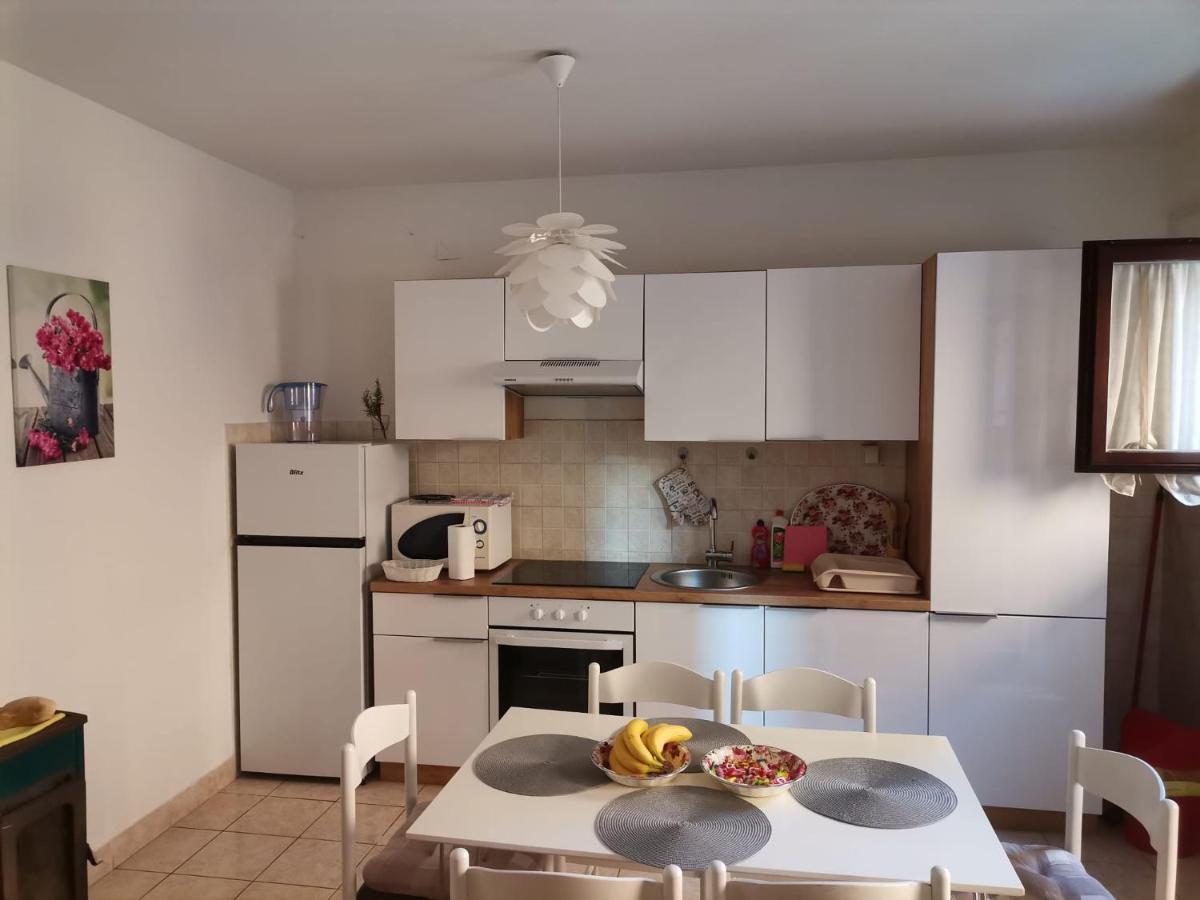 Delfin Apartments Zadar Exterior photo